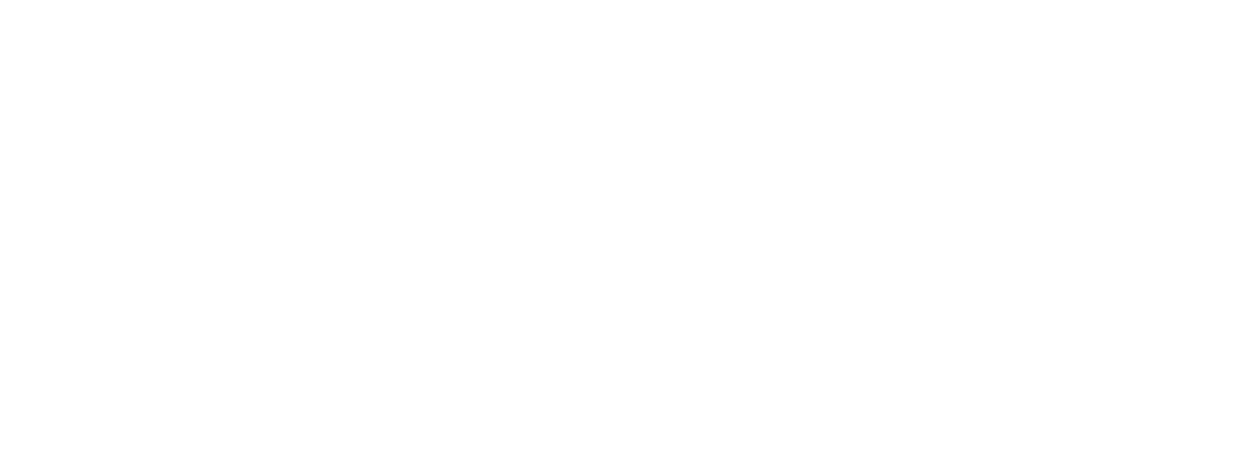 Transportes Sasel